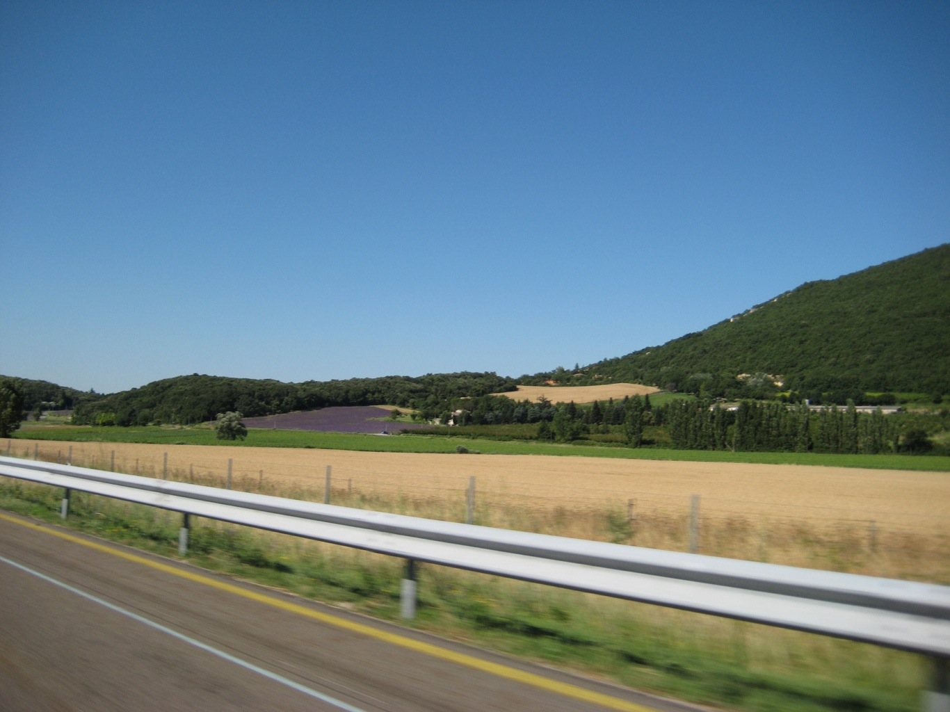 20120713-153219.jpg