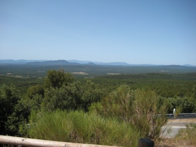20120717-184725.jpg