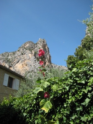 20120717-185906.jpg