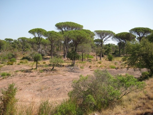 20120720-183559.jpg